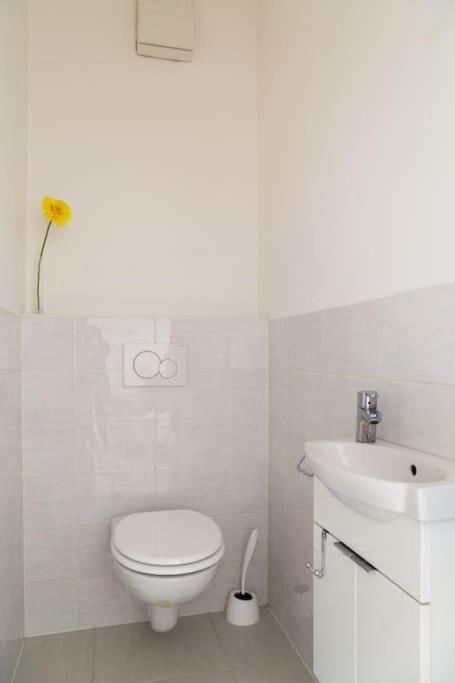 Great Tourist And Business Apartment Bratislava Buitenkant foto